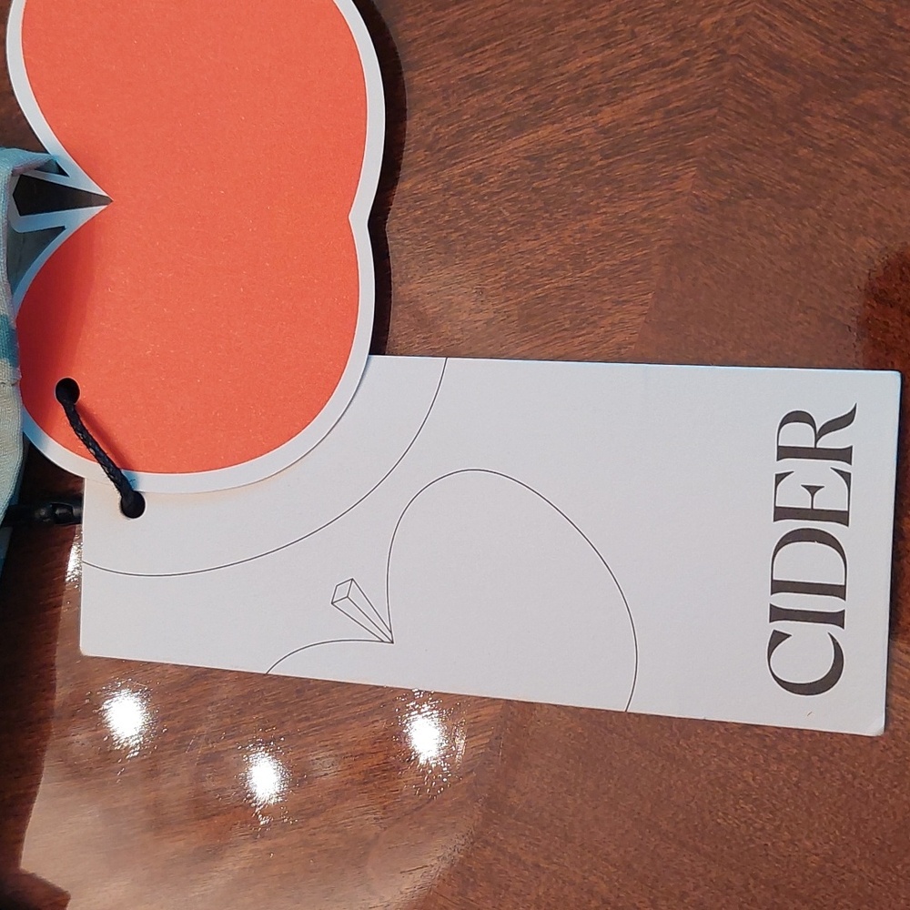 NWT! • Cider | Aqua satin dress |  M - Picture 11 of 12